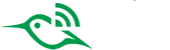 Arlo